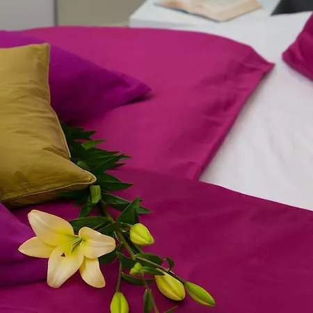 شقة Joe سبليت